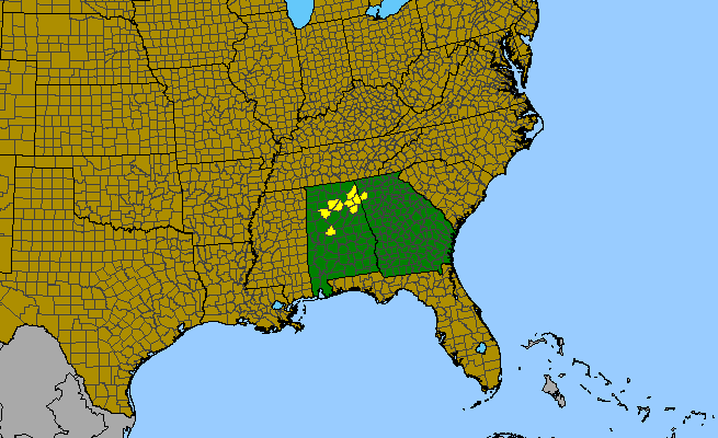 The range of Marshallia mohrii